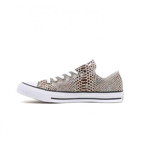 Converse Chuck Taylor All Star Ox Snake Turnschuhe Damen